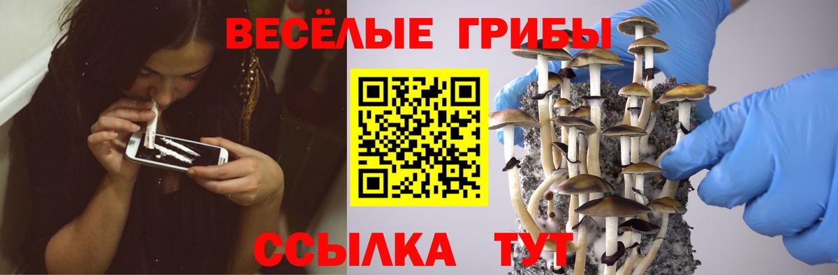 Галлюциногенные грибы Magic Shrooms  Галлюциногенные грибы Magic Shrooms  Тверь  купить наркоту  Вход с VPN 